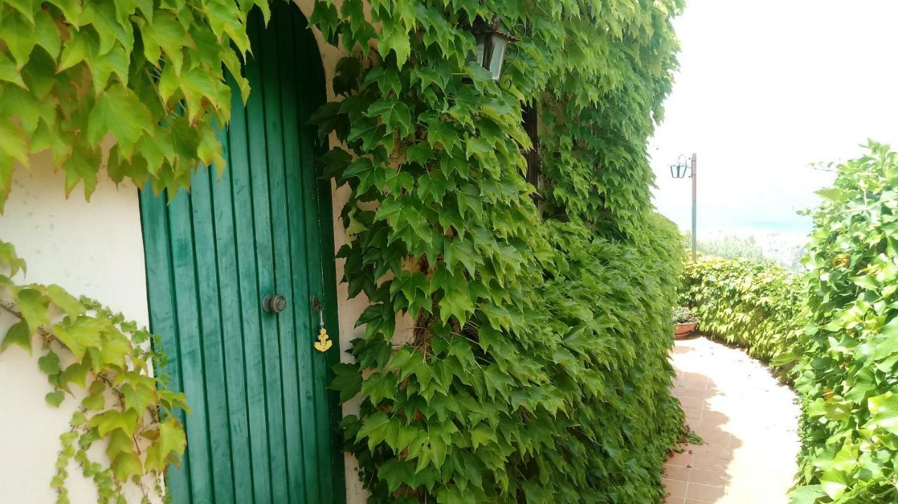 Appartamenti Salato Tropea Ngoại thất bức ảnh
